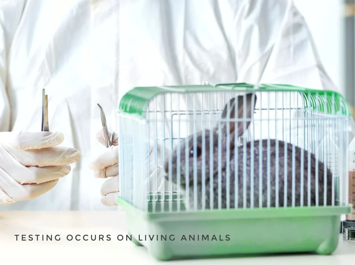 Animal Testing Cosmetics