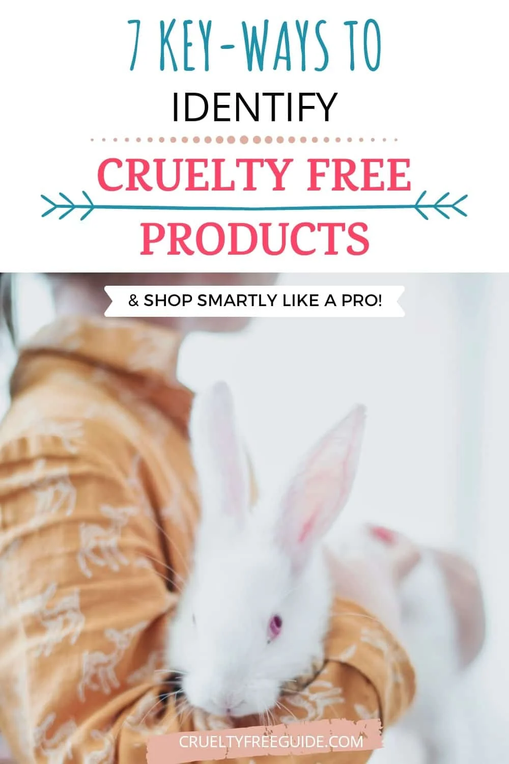 Identify Cruelty-Free Cosmetics