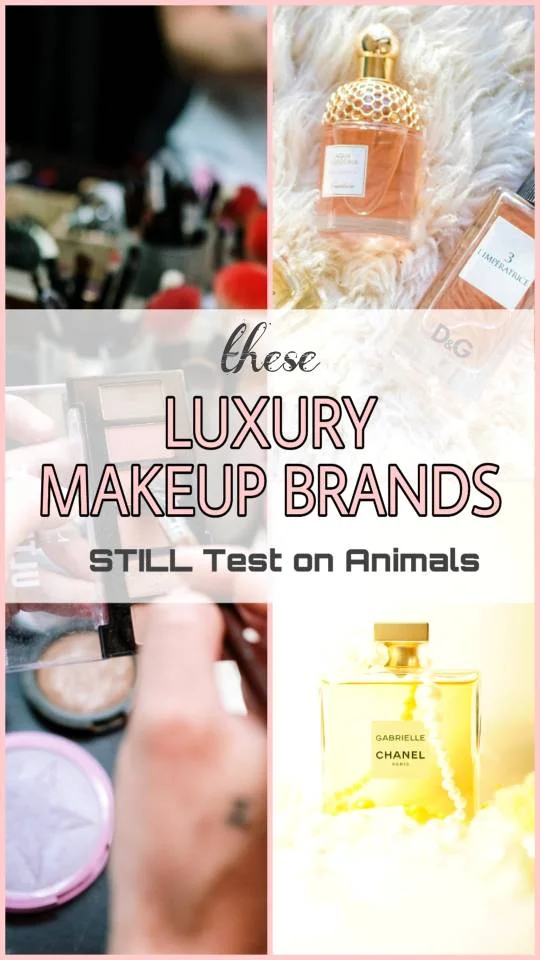 Luxe Brands Testing Animals