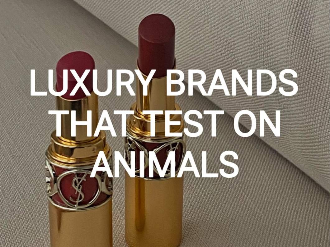 Luxury Brands that Test on Animals