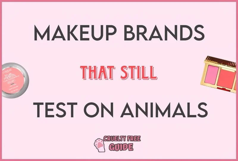Makeup Brands Test On Animals
