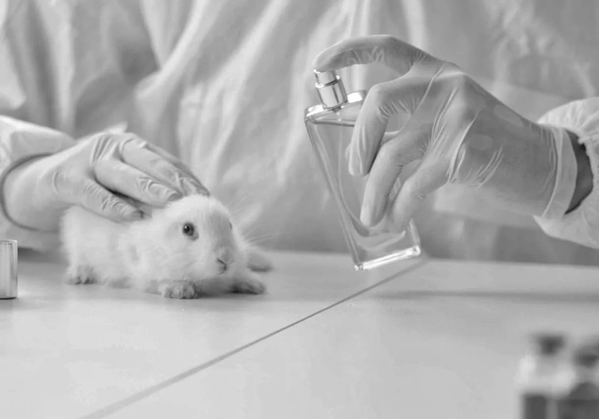 Testing on Rabbits Cosmetics